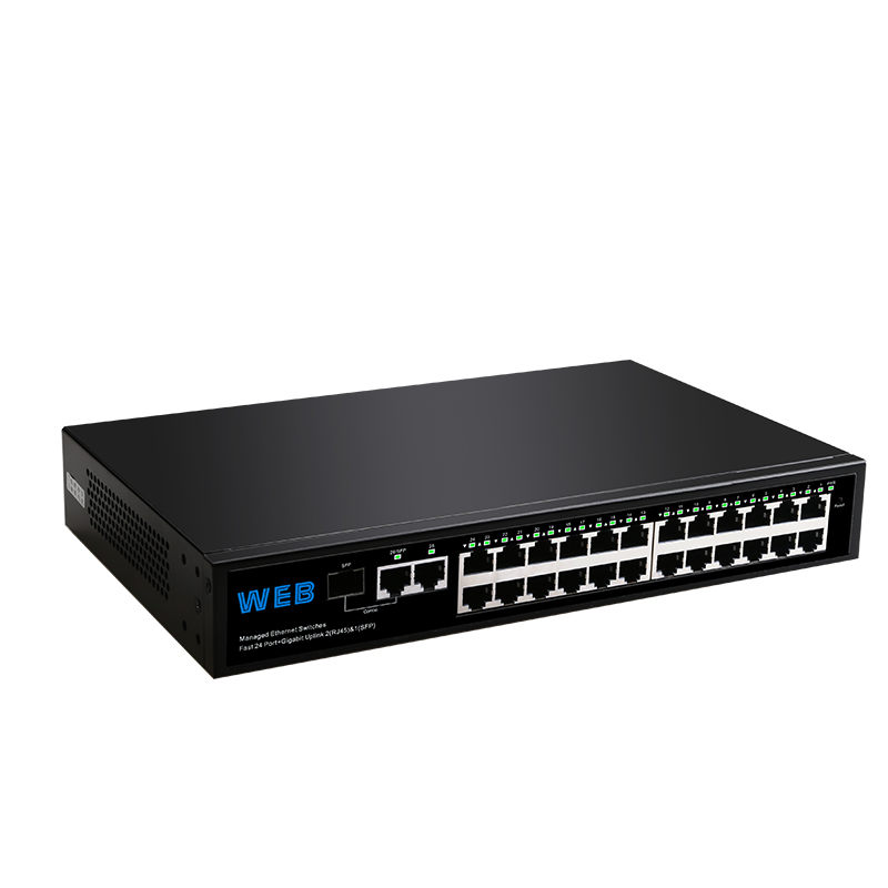 24-port 10/100Mbps + 2-port Gi - Managed Switch 24 Port Gigabit review and price