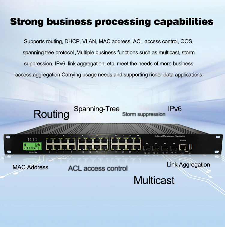 19 Inches Rack Moun L3 Managed - Switch 24 Port 10G Uplink review and price