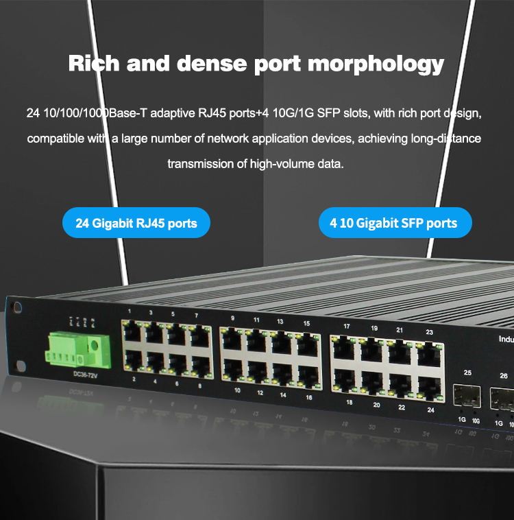 19 Inches Rack Moun L3 Managed - Switch 24 Port 10G Uplink review and price